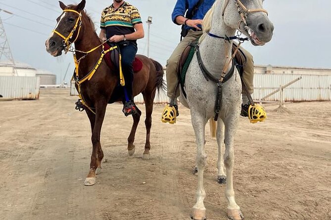 Private-Doha Horse Ride/Camel Ride/Quad Bike All Inclusive Tour - Three ways to meet the Doha desert
