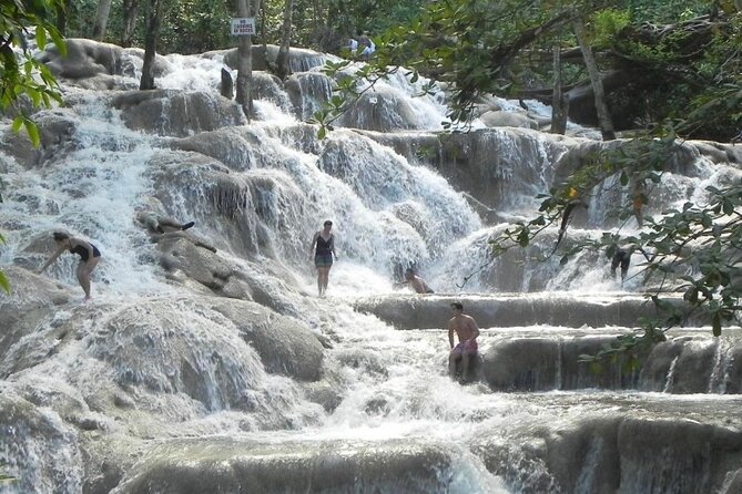 Private Dunns River Falls and Horse Back Riding - Service details that can shape the day