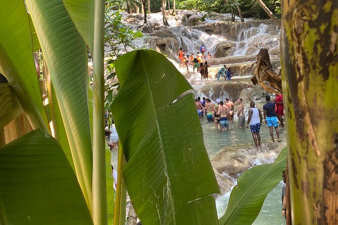 Private Dunns River Falls and Horse Back Riding - Who should book this experience?
