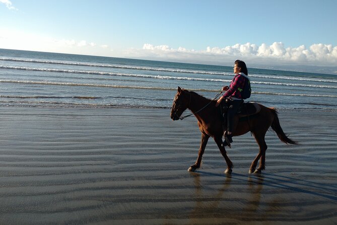 Private excursion to the bufadora and horseback riding on the beach - What $75 buys you in Ensenada