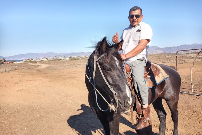 Private excursion to the bufadora and horseback riding on the beach - Should you book the horseback riding and La Bufadora tour?