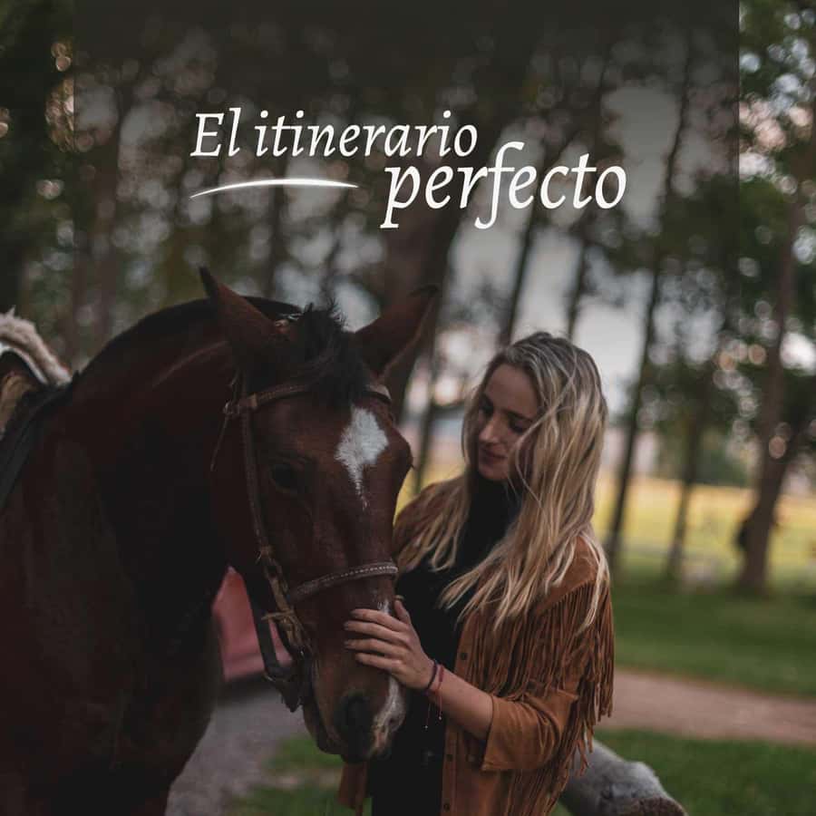 Private Experience: Horseback Riding and BBQ in the Mountain - Estancia La Carrera - A Mountain Estancia 95 Kilometers From Mendoza
