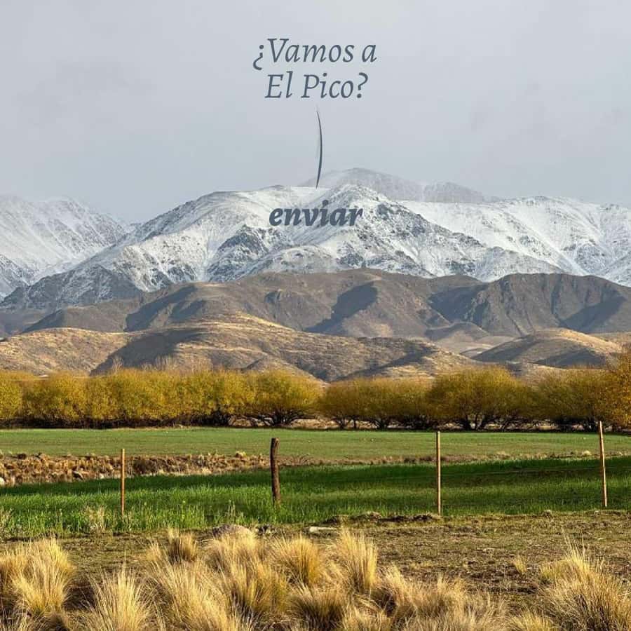 Private Experience: Horseback Riding and BBQ in the Mountain - Estancia La Carrera - Coffee, Tea, and a Family Welcome
