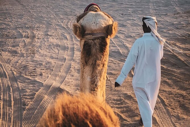 Private Horse and Camel Riding Experience in Doha - The 40-minute Arabian horse ride