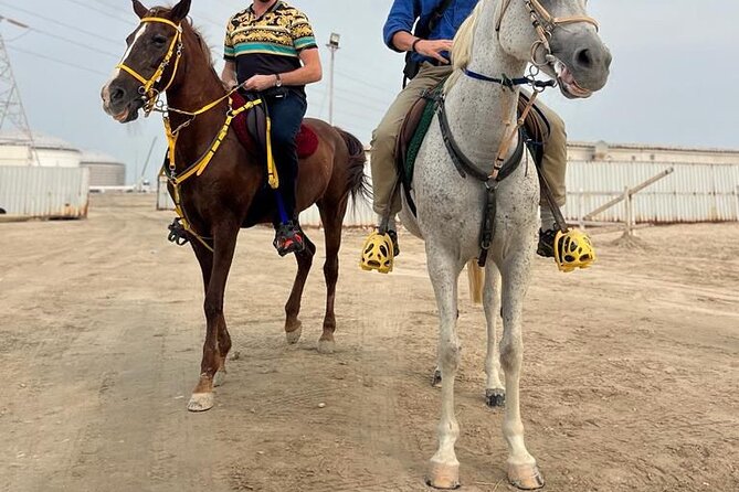 Private Horse and Camel Riding Experience in Doha - The short camel ride