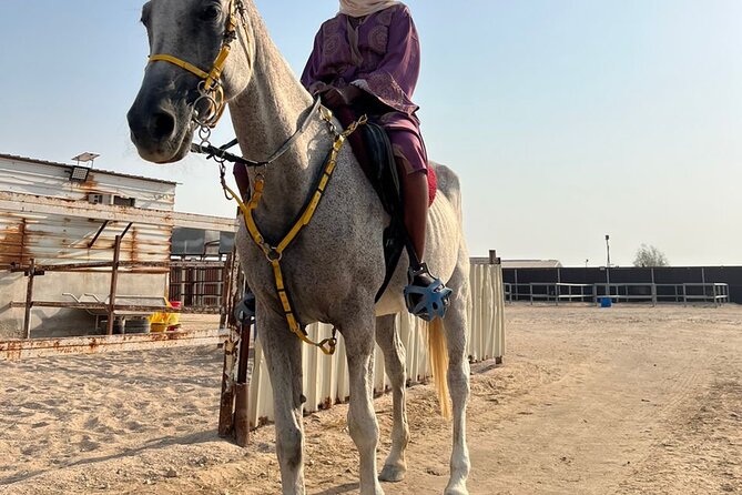 Private Horse and Camel Riding Experience in Doha - Photos, dunes, and possible extras