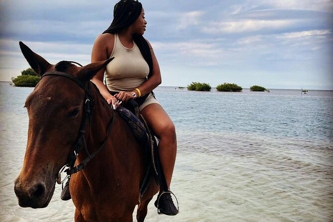 Private Horse Back Riding with ATV Combo. - Two Jamaican rides in one compact outing