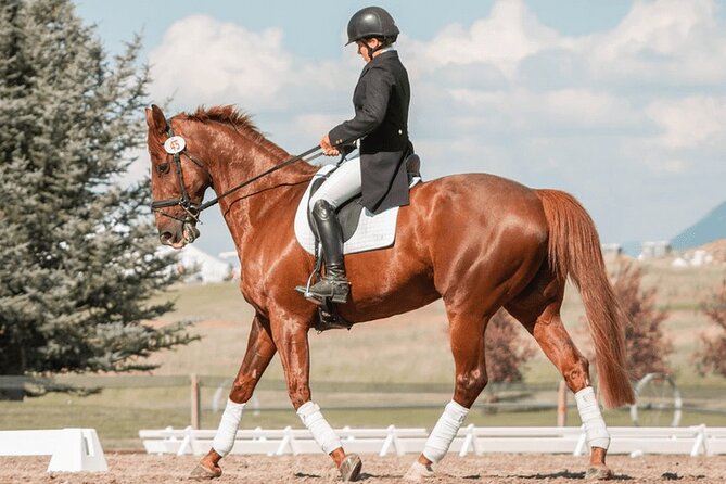 Private Horse Ridding tour - Key points to know before booking