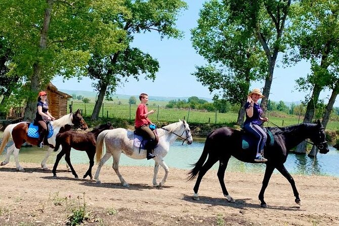 Private Horse Ridding tour - Starting at Kakheti Highway near Lilo Mall