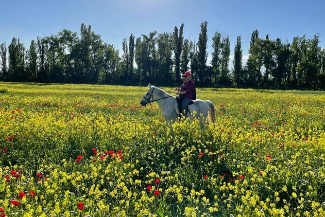 Private Horse Ridding tour - What the private format adds