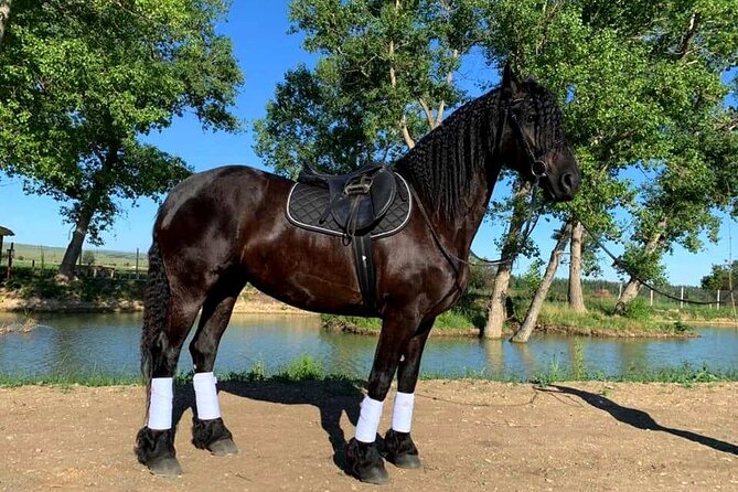 Private Horse Ridding tour - Getting fitted with equipment and instruction