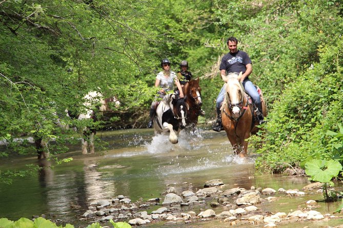 Private Horse Ride Adventure in Modica with Instructor - Key points to know before you ride