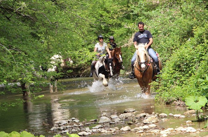 Private Horse Ride Adventure in Modica with Instructor - Who will enjoy this most