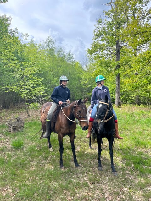 Private Horse Ride experience - A practical choice near Paris