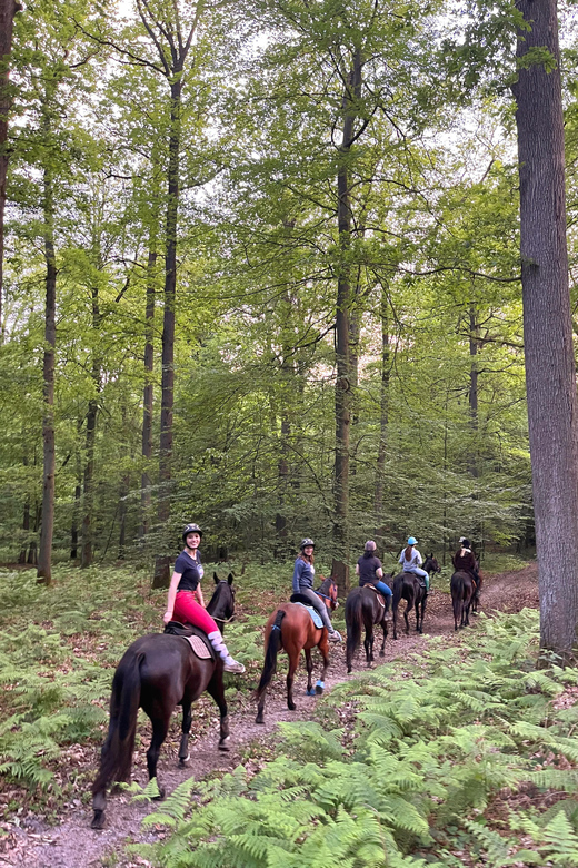 Private Horse Ride experience - Should you book the La Horse Club ride?