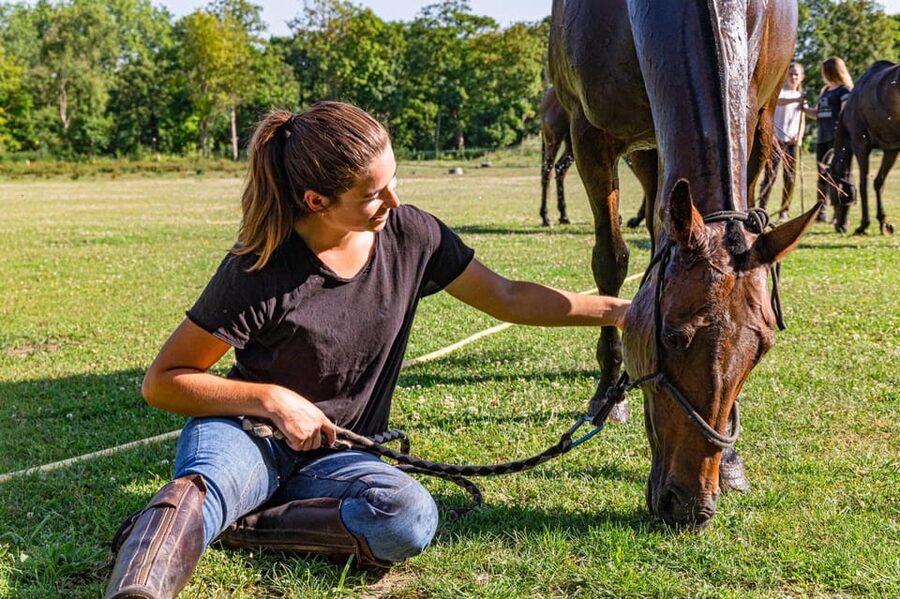 Private Horse Ride experience - The 20-minute safety briefing in Chantilly