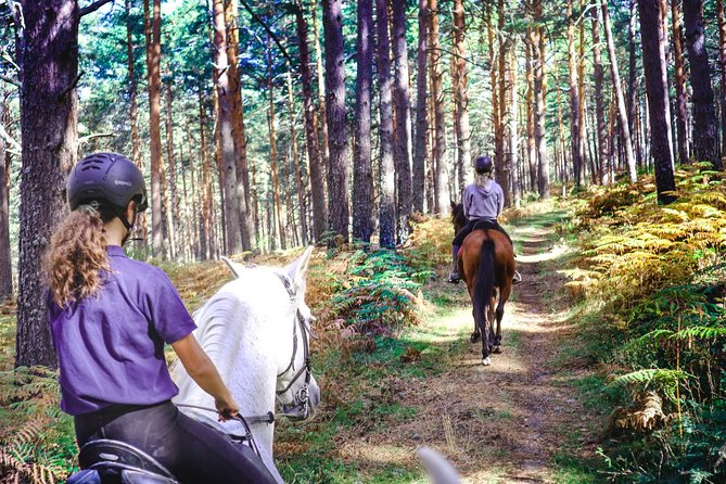 Private Horse Ride in Madrid natural park reserve - Key points at a glance