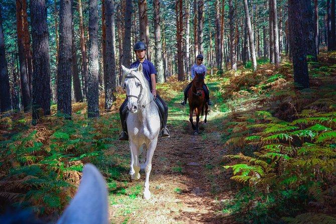 Private Horse Ride in Madrid natural park reserve - A private ride with room to adjust