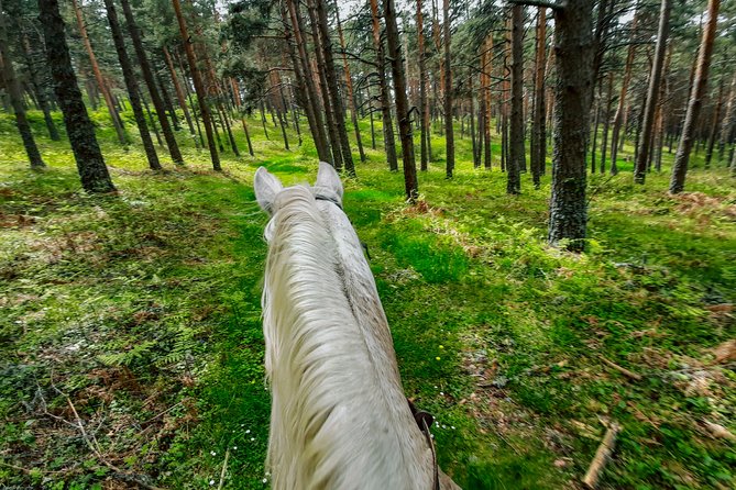 Private Horse Ride in Madrid natural park reserve - Meeting Ignacio and choosing the right horse