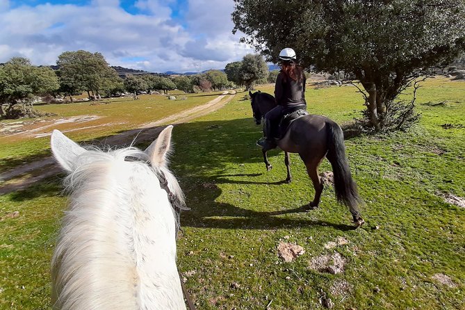 Private Horse Ride in Madrid natural park reserve - What the two to three hour ride feels like