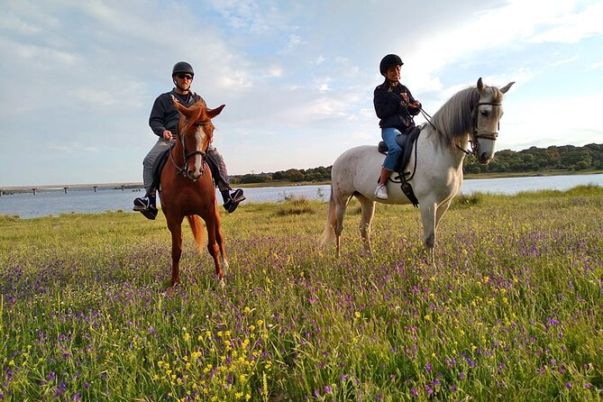 Private Horse Ride in Madrid natural park reserve - Pine forests, open fields, and mountain trails