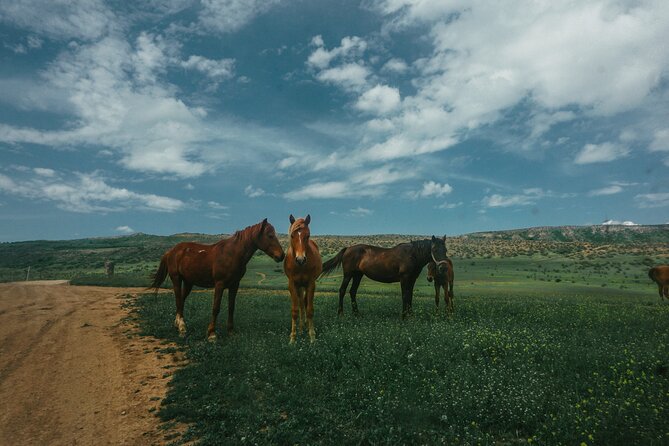 Private Horse Riding Adventure in Tbilisi - Reaching the meeting point on Budapesht Street