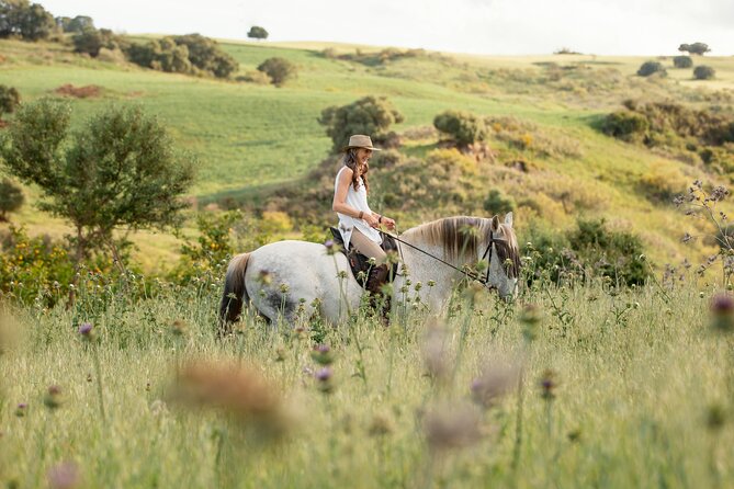 Private Horse Riding Adventure in Tbilisi - What the route offers beyond the riding lesson
