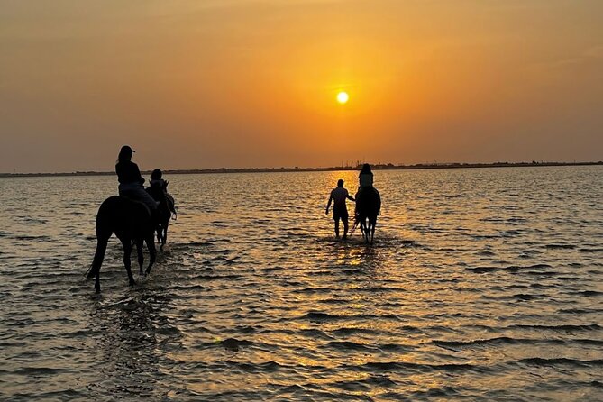 Private Horse Riding Experience at Red Sea - From Hooves Stud to the Red Sea