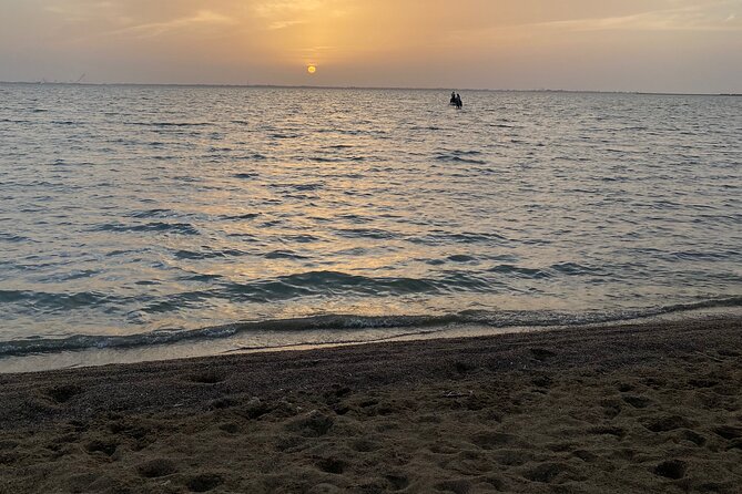 Private Horse Riding Experience at Red Sea - Meeting the Horses at the Stable