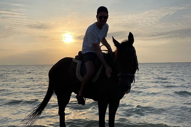 Private Horse Riding Experience at Red Sea - What the Private Format Really Gives You