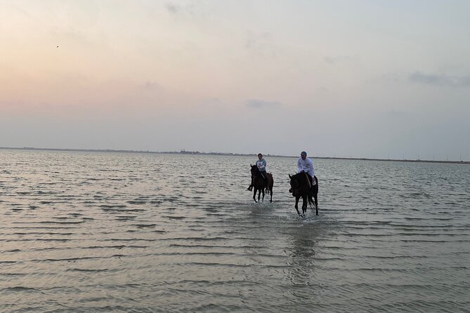 Private Horse Riding Experience at Red Sea - Who Will Enjoy This Ride Most