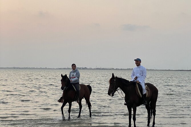 Private Horse Riding Experience at Red Sea - Timing, Weather, and Practical Planning