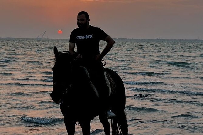 Private Horse Riding Experience at Red Sea - What the Experience Does Best