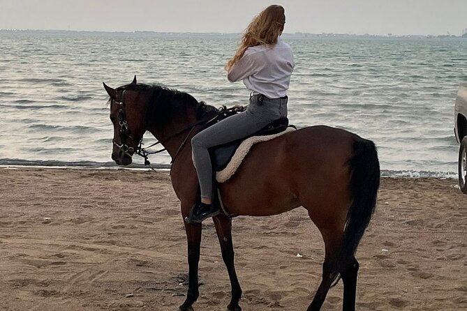 Private Horse Riding Experience at Red Sea - Should You Book the Red Sea Horse Ride?