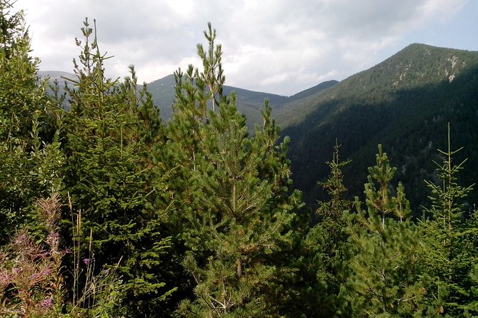 Private Horse Riding in the Balkan from Sofia - From Sofia to the Teteven Balkan