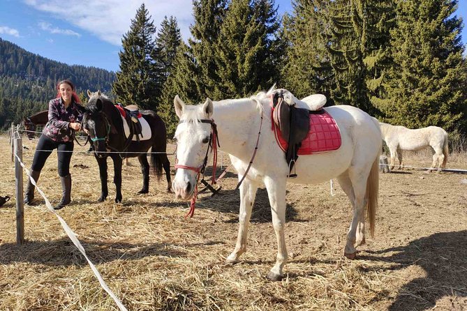 Private Horse Riding in the Balkan from Sofia - Vitosha Mountain and a different side of Sofia