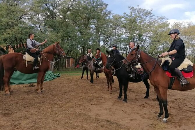 Private Horse Riding near Budapest with transport - Price, timing, and the small print