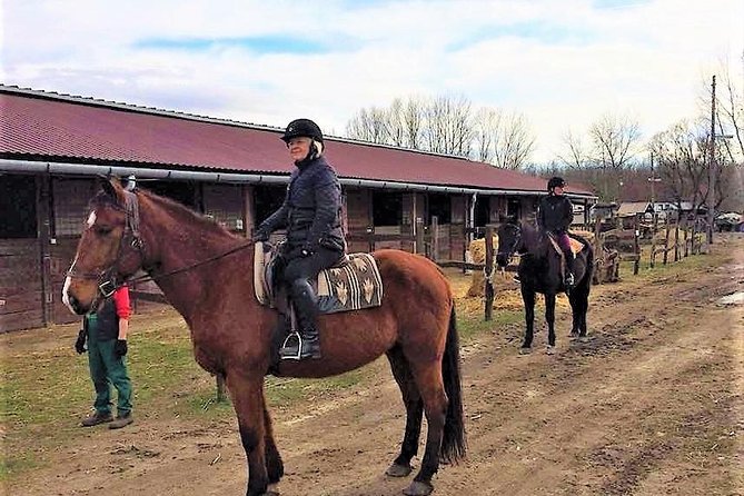 Private Horse Riding near Budapest with transport - Riding the forest near Dunakeszi