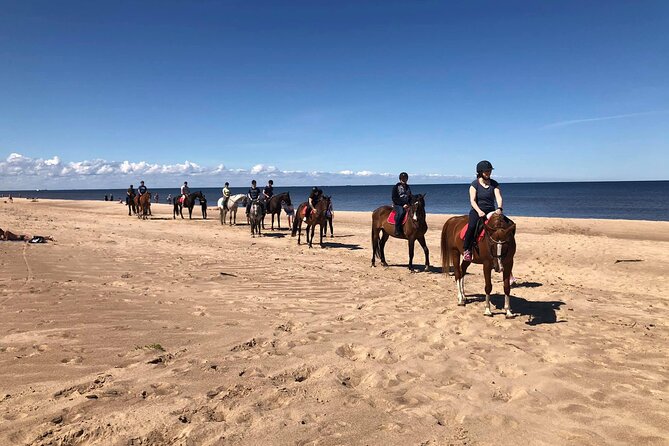 Private Horse Riding on the Beach in Riga - From Riga hotel to Latvian riding country