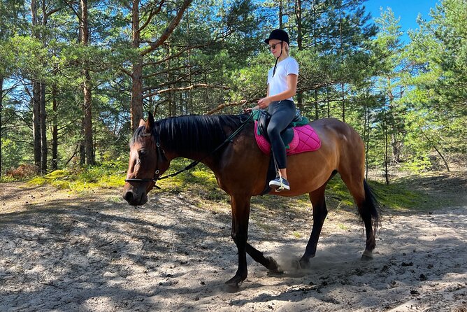 Private Horse Riding on the Beach in Riga - How private pacing changes the experience