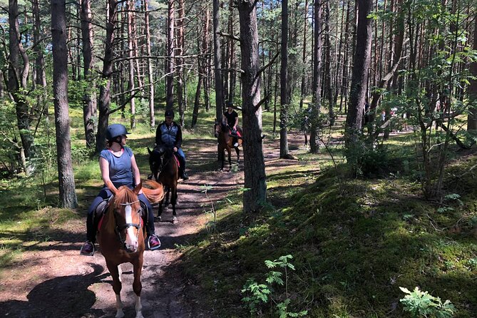 Private Horse Riding on the Beach in Riga - What the $150.63 price really covers