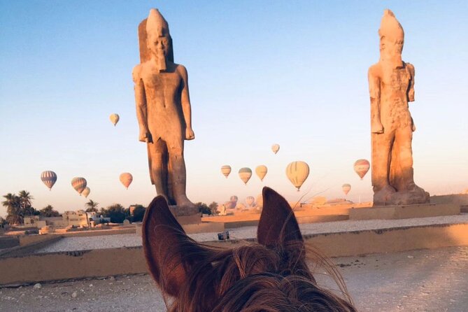 Private Horse Riding Tour in Luxor West Bank - What the village and field routes feel like