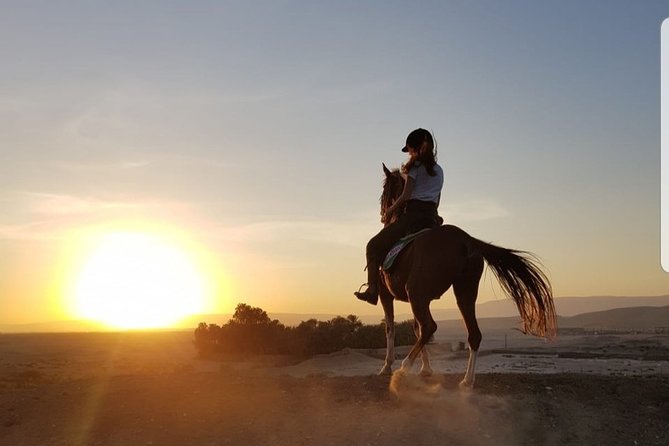 Private Horse Riding Tour in Luxor West Bank - Temples, monuments, and the desert turn