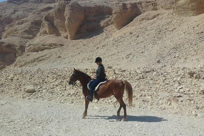 Private Horse Riding Tour in Luxor West Bank - Horses, helmets, and help for beginners