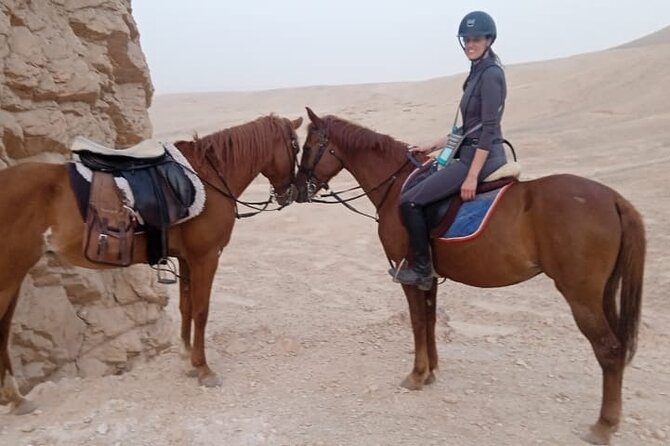 Private Horse Riding Tour in Luxor West Bank - Private value at $12 per person