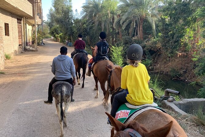 Private Horse Riding Tour in Luxor West Bank - Who should book this horseback outing