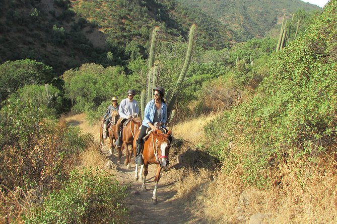 Private Horseback Adventure in the Andes, with Picnic & Wine - From Santiago to the Cordillera in 30 minutes