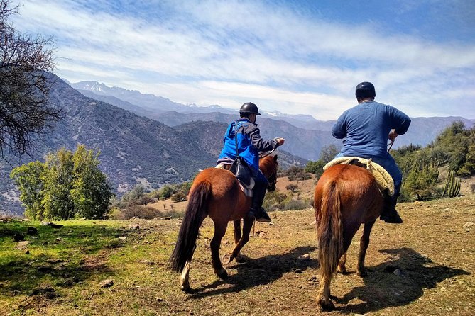Private Horseback Adventure in the Andes, with Picnic & Wine - Meeting the Criollo horses