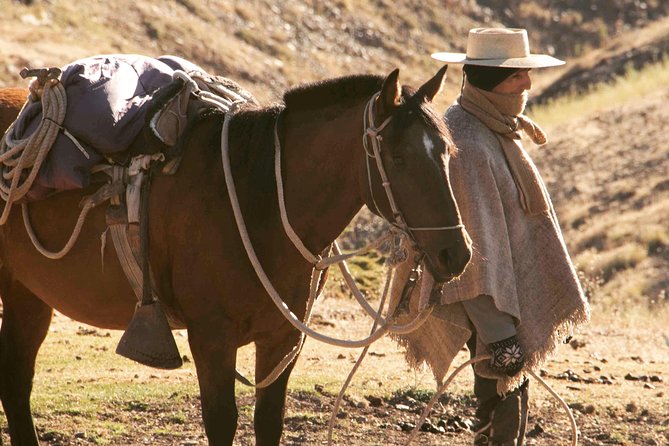 Private Horseback Adventure in the Andes, with Picnic & Wine - Guides who add more than trail directions
