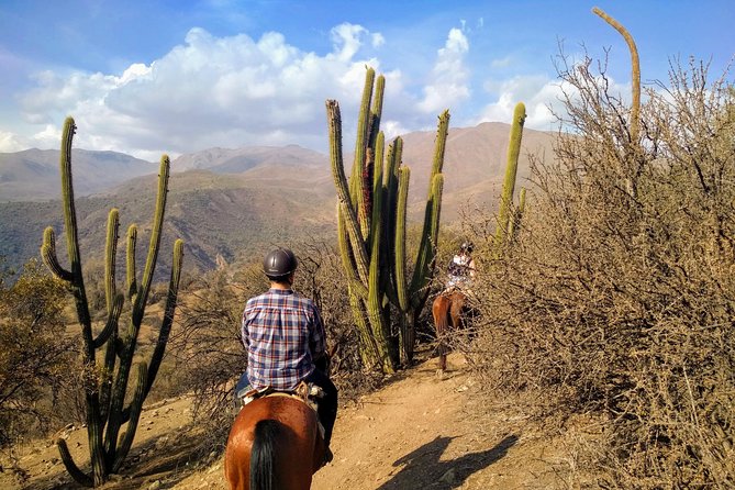 Private Horseback Adventure in the Andes, with Picnic & Wine - The arriero ranch picnic and wine